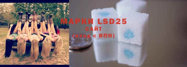 mdpv Богородск