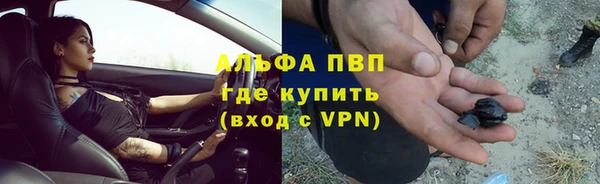 ПСИЛОЦИБИНОВЫЕ ГРИБЫ Богородицк
