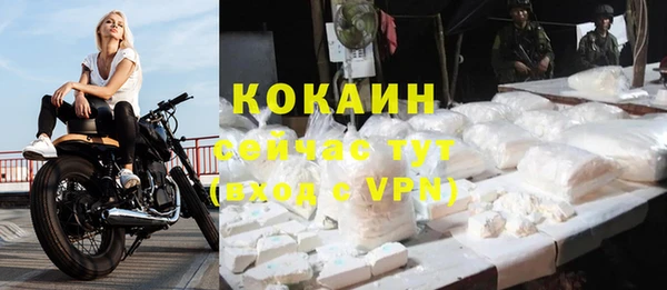 первитин Богданович